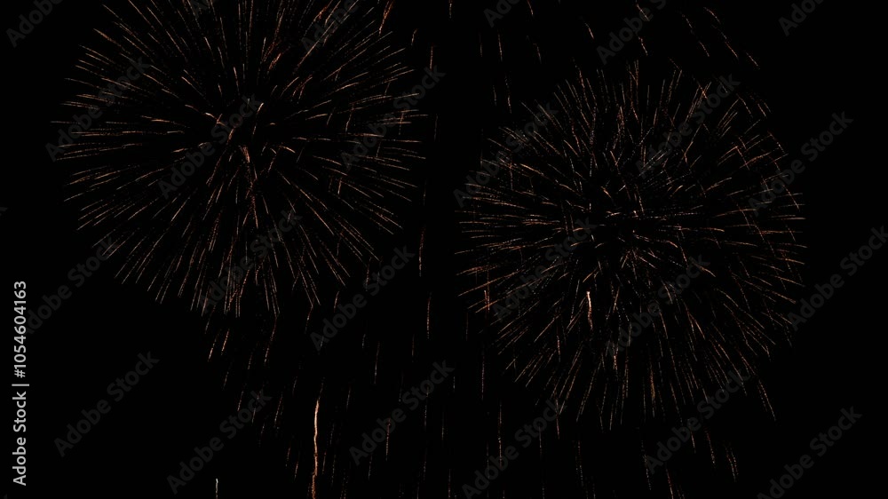 Celebrating the New Year with Dazzling Fireworks Celebrating the New Year with Dazzling Fireworks
