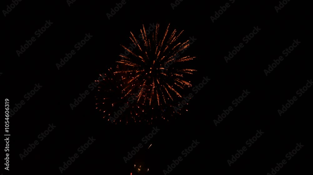 Celebrating the New Year with Dazzling Fireworks Celebrating the New Year with Dazzling Fireworks