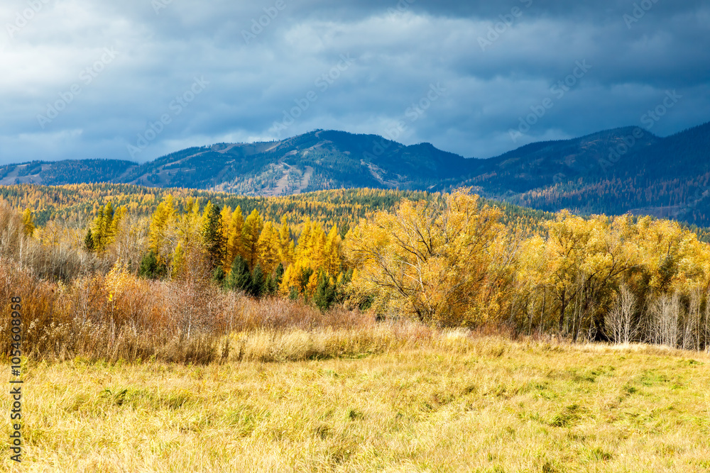 Autumn landscape with mountains in northwest Montana Autumn landscape with mountains in northwest Montana
