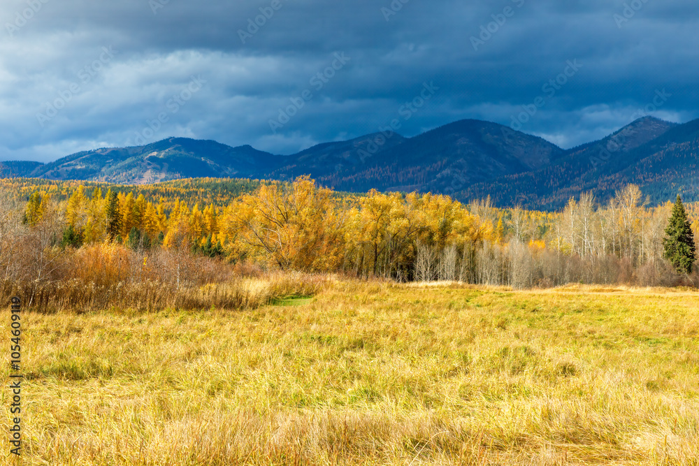 Autumn foliage with mountain background Autumn foliage with mountain background