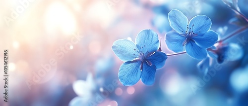 Beautiful blue spring flowers with a soft, blurry background, creating a dreamy atmosphere perfect for floralthemed designs