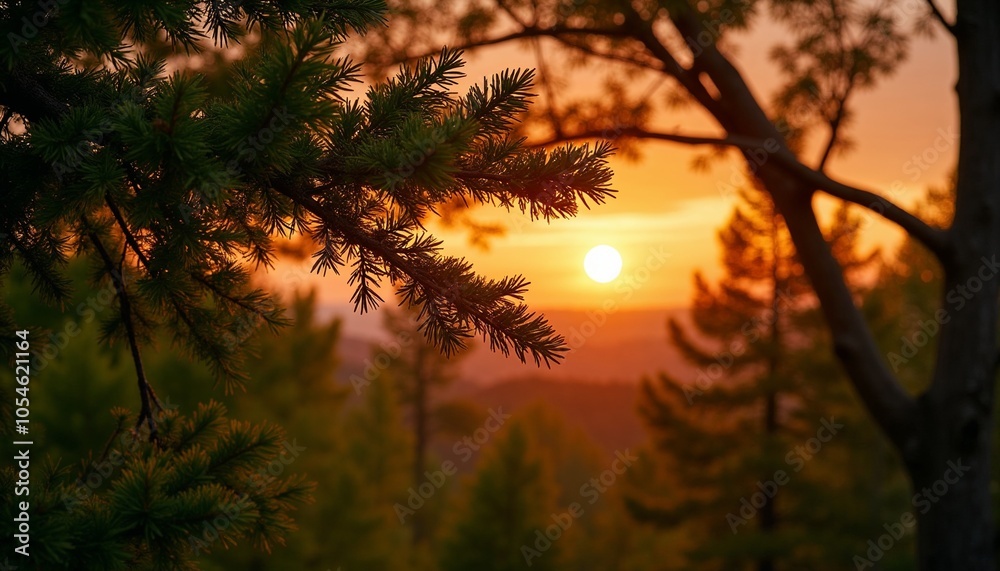 Pine tree branches with sunset glow, green needles softly illuminated by the warm, orange hues of the setting sun, serene and warm Pine tree branches with sunset glow, green needles softly illuminated by the warm, orange hues of the setting sun, serene and warm