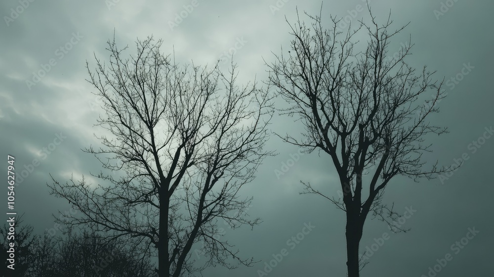 Bare Trees Against a Gloomy Sky Bare Trees Against a Gloomy Sky