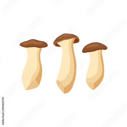King oyster mushroom isolated in white