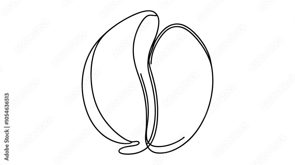 One continuous line illustration of a coffee bean, isolated on white background. One continuous line illustration of a coffee bean, isolated on white background.