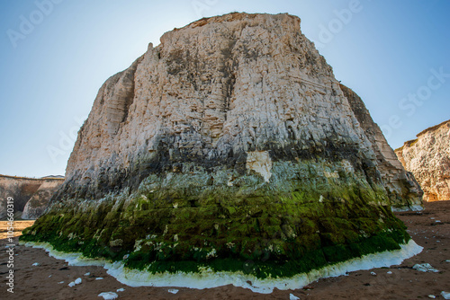 Large rock formation with layers of white chalk and limestone, base covered in green algae. Clear blue sky and sunny day highlight coastal landscape