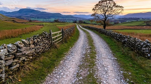 A dirt road winds through a valley with stone walls and a lone tree at sunset.