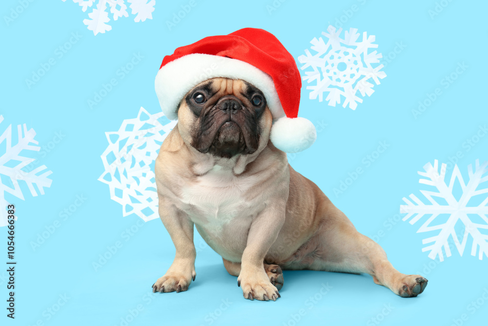 Cute French bulldog in Santa hat and snowflakes on blue background. Christmas celebration Cute French bulldog in Santa hat and snowflakes on blue background. Christmas celebration