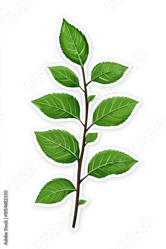 A vibrant illustration of a green mint leaf branch with a rich texture and vivid color details.