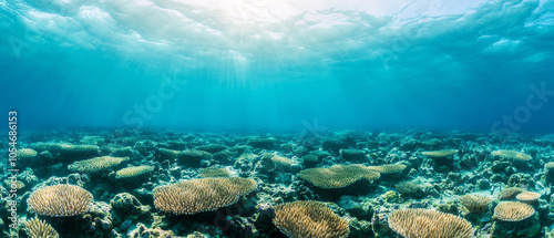 Wallpaper Mural Underwater view of vibrant coral reefs, showcasing diverse marine life and clear blue water. A serene underwater ecosystem thriving in sunlight. Torontodigital.ca