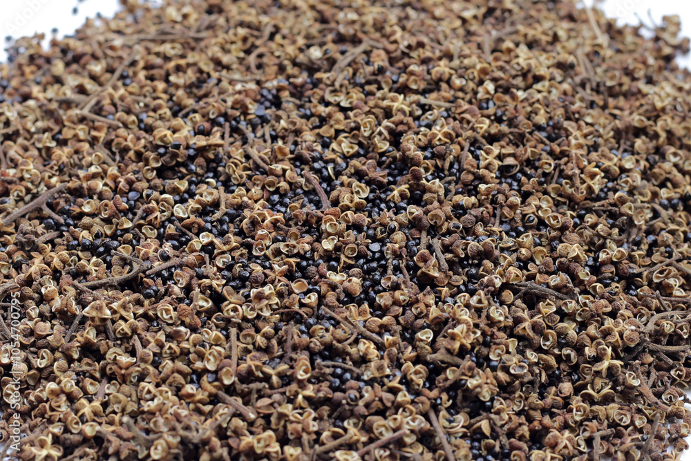 Dried zanthoxylum rhetsa (Roxb.) DC.