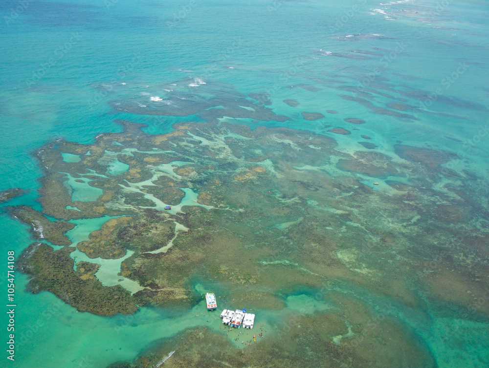 Fototapeta premium Coral reef in the natural pools of Joao Pessoa in Paraiba state, Brazil.