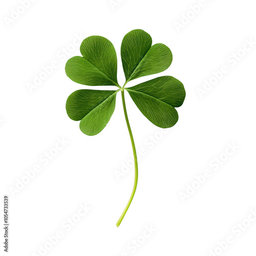 Four-leaf clover symbolizing luck and prosperity photo