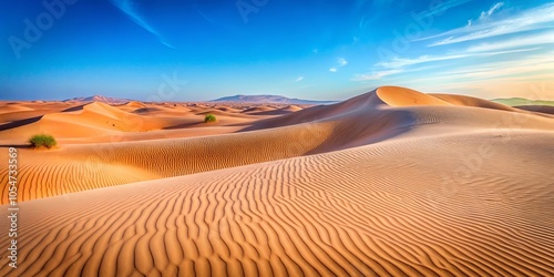 Golden Sand Dunes Sculptured by Wind, a Serene Landscape of Untamed Beauty