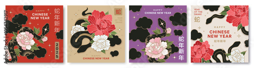 Set of chinese New Year banners with snake symbol. Design templates with flowers, clouds, stars, snakes and hieroglyphic means snake new year and symbol of snake. 