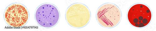 Petri dishes cultures.Cell-culture dish with bacterial colonies.Microbiological laboratory testing.Set of Petri plate with different colonies colorful illustration. Bacterial Culture