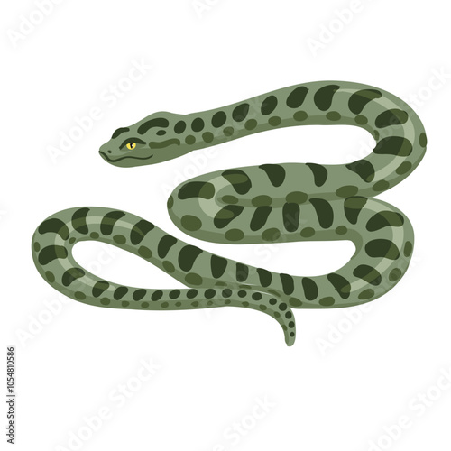 vector drawing snake, green anaconda , Eunectes murinus, isolated at white background, hand drawn illustration