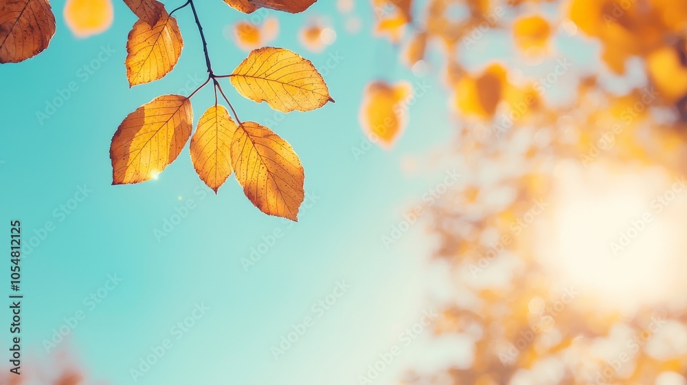 Abstract nature autumn Background with yellow leaves