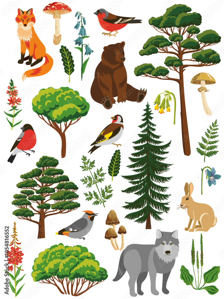 Naklejka premium vector drawing set of forest animals, birds, trees and plants isolated at white background , cartoon style characters