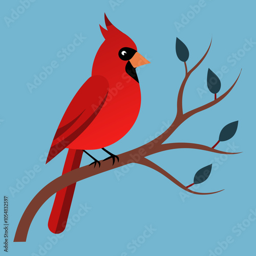 a single cardinal bird love Cardinal  perched on a tree branch