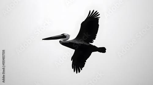 Simple silhouette of a pelican in flight, representing calm and focus