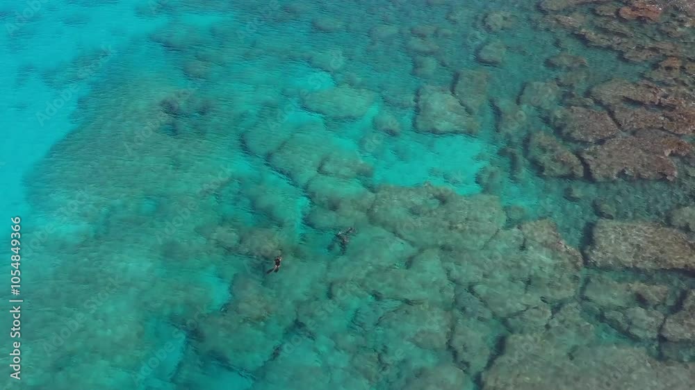 Aerial view of tourists swimming with snorkels in the clear ocean on summer vacation. This vibrant water activity takes place on Hawaii island. Aerial view of tourists swimming with snorkels in the clear ocean on summer vacation. This vibrant water activity takes place on Hawaii island.