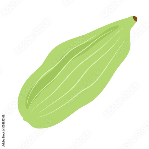 green cardamom  or Elettaria cardamomum