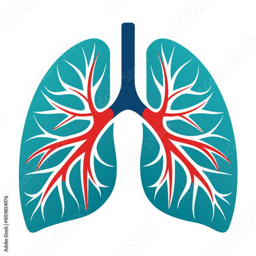 Human Lungs vector illustration,