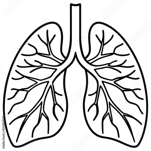 Human Lungs hand drawn vector illustration,