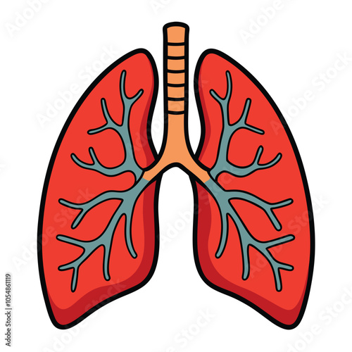 Human Lungs vector illustration,