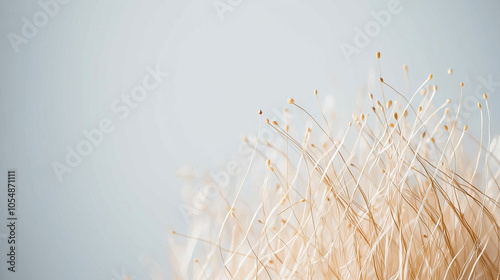 Close-up of Blonde Hair Tex...