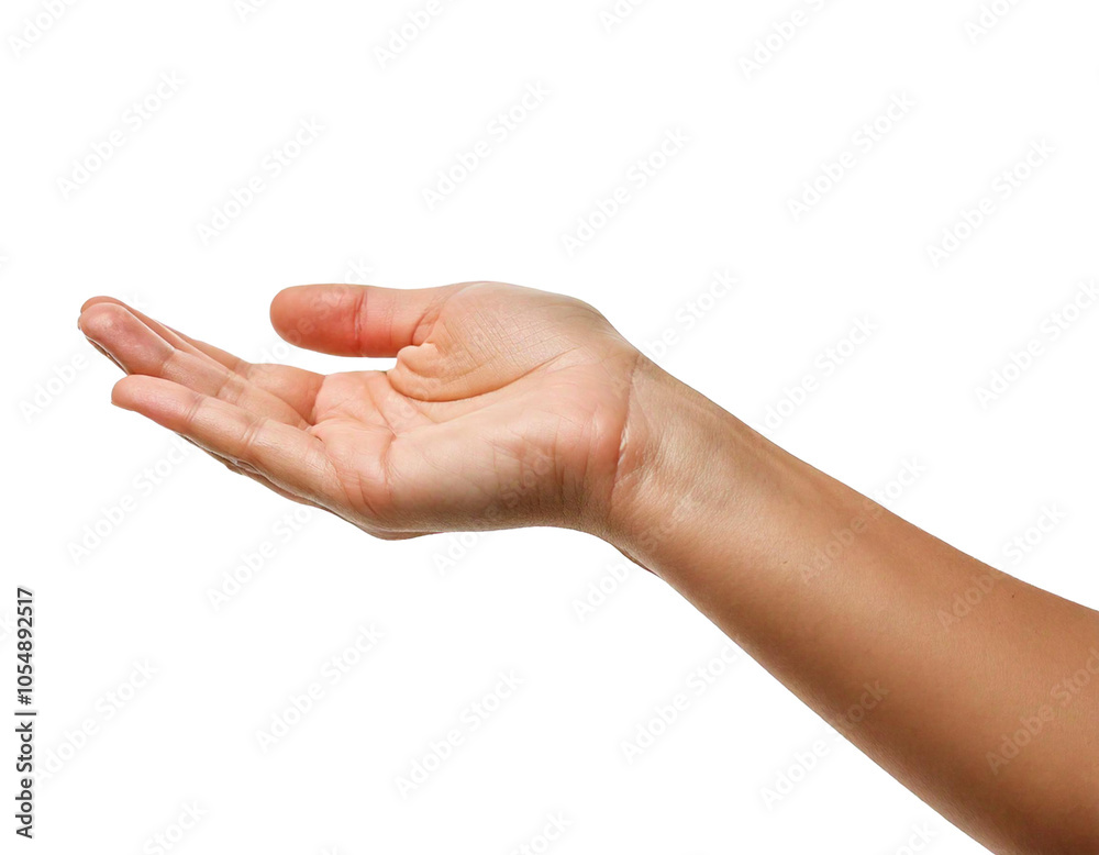 Female hand outstretched with palm up, isolated on white transparent png background Female hand outstretched with palm up, isolated on white transparent png background