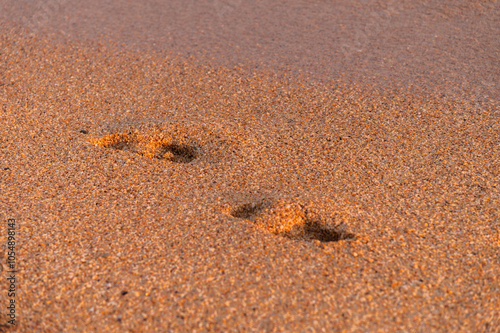 beach, wave and footprints at sunset. lonely footprint of one person on the seashore