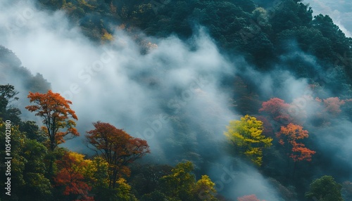 Mist envelops colorful trees in a serene forest, capturing the essence of nature's beauty and tranquility in autumn.