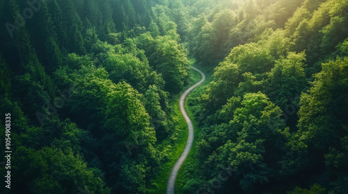 Birds-eye view of a winding hiking trail cutting through a vast forest, surrounded by towering trees, patches of sunlight filtering through the branches, inviting a peaceful and scenic journey.