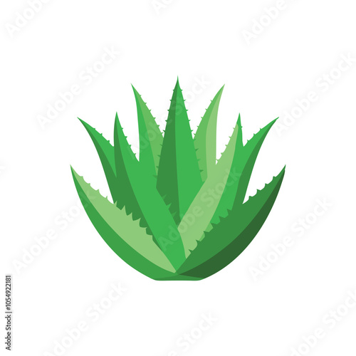  Aloevera isolated flat vector illustration on white background.