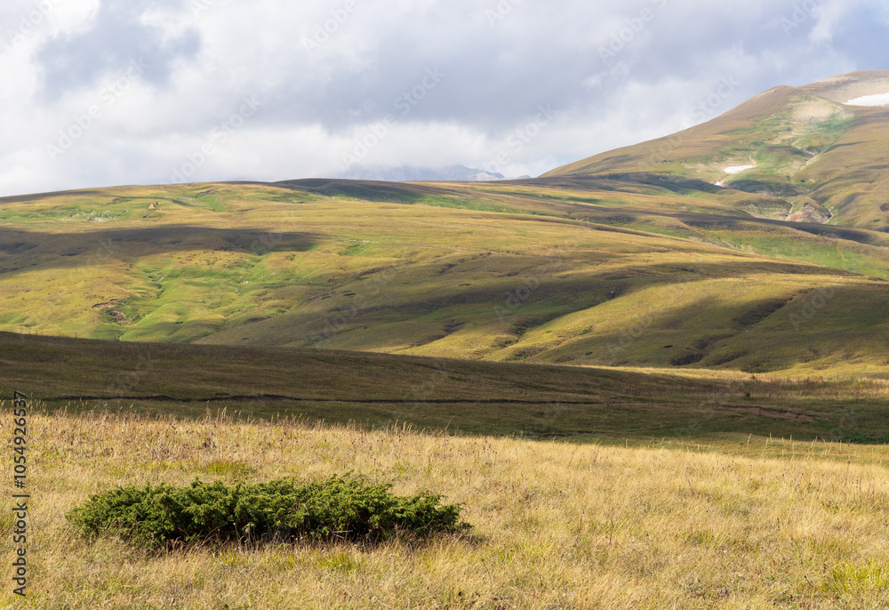 Obraz premium panorama of the mountainous area in the autumn period of the year, yellowed slopes, remnants of snow, dried plants
