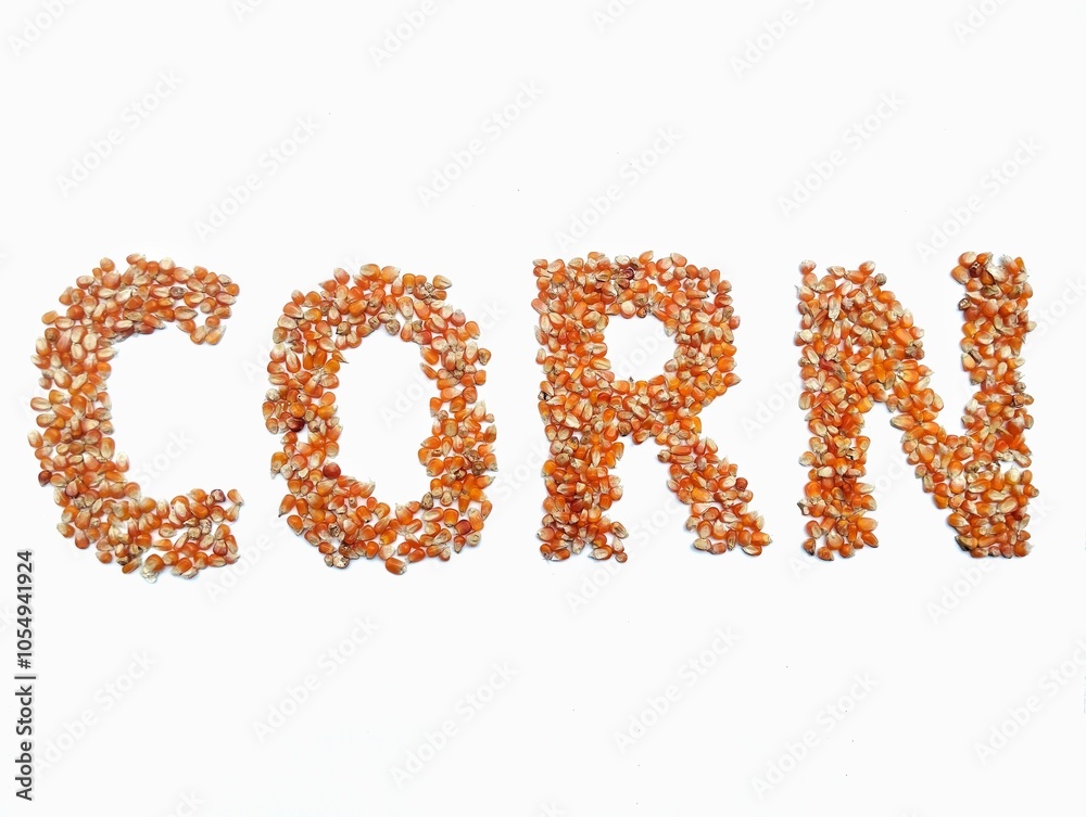 Corn writing from pile of dry grain corn on white background Corn writing from pile of dry grain corn on white background