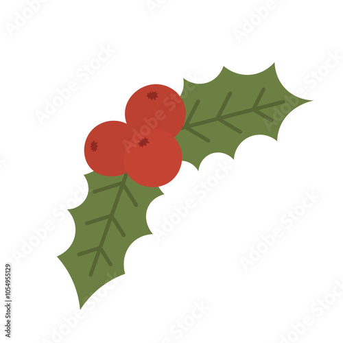 Christmas winter holly branch, holly berries. Flat hand drawn vector illustration isolated on transparent background.