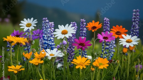 Vibrant Blooming Wildflowers in Natural Landscape