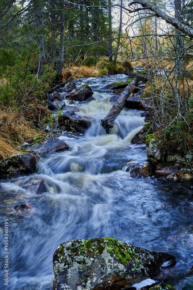 Obraz premium Serene forest stream with mossy rocks and flowing water