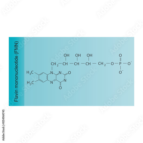 Flavin mononucleotide, FMN skeletal structure diagram.Vitamin B2 compound molecule scientific illustration.
