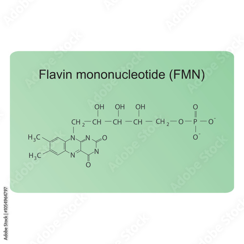 Flavin mononucleotide, FMN skeletal structure diagram.Vitamin B2 compound molecule scientific illustration.