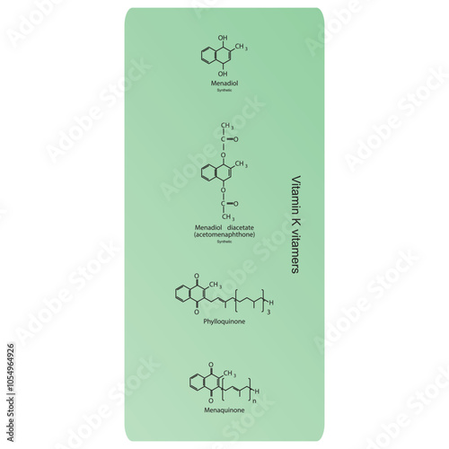 Diagram of Vitamin K vitamers - Phylloquinone, Menaquinone, Menadiol, Menadiol diacetate - skeletal chemical structure, scientific illustration.