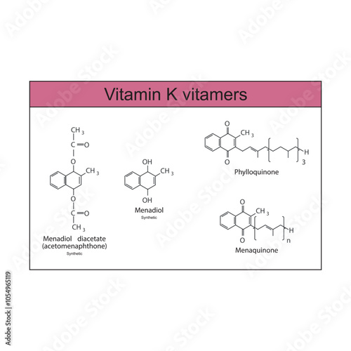 Diagram of Vitamin K vitamers - Phylloquinone, Menaquinone, Menadiol, Menadiol diacetate - skeletal chemical structure, scientific illustration.