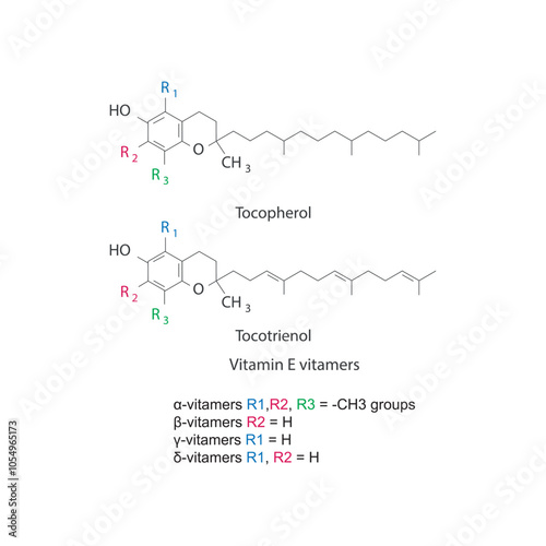 Diagram of Vitamin E vitamers - Tocopherol and Tocotrienol skeletal structure, chemical diagram. photo