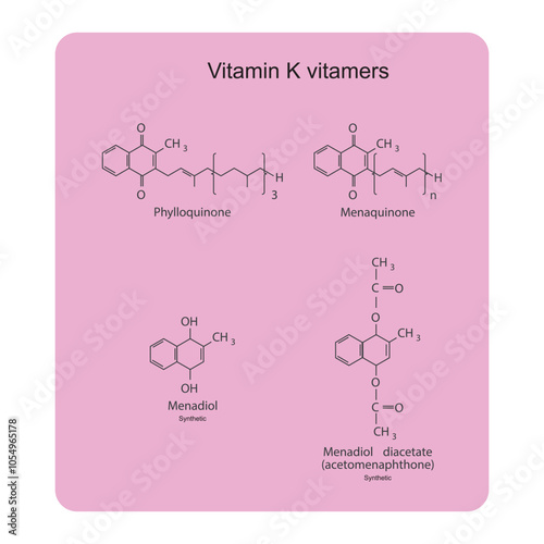 Diagram of Vitamin K vitamers - Phylloquinone, Menaquinone, Menadiol, Menadiol diacetate - skeletal chemical structure, scientific illustration.