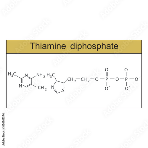 Thiamine diphosphate skeletal structure diagram.Vitamin B1 compound molecule scientific illustration.