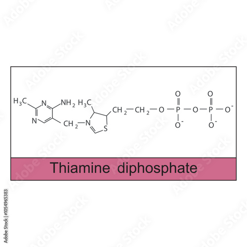 Thiamine diphosphate skeletal structure diagram.Vitamin B1 compound molecule scientific illustration.