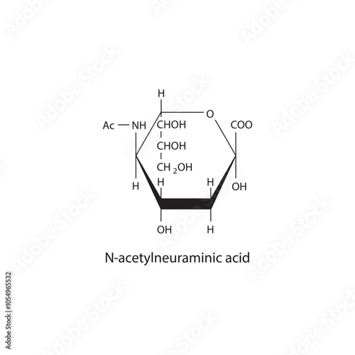 N-acetylneuraminic skeletal structure diagram.Sialic acid compound molecule scientific illustration.